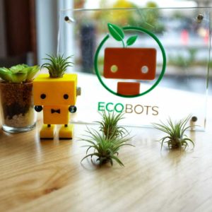 eco bots and air plants